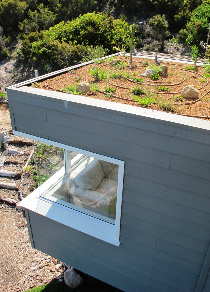 Living Roof Garden
